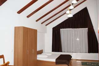 Гостевой дом Vila Sorina Пояна-Брашов Улучшенный двухместный номер с 1 кроватью-2